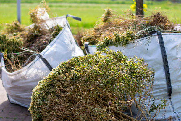 Best Shed Removal  in Belpre, OH